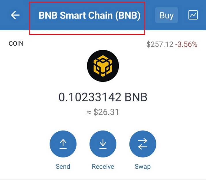 Achte darauf, dass du die BNB Smart Chain nutzt