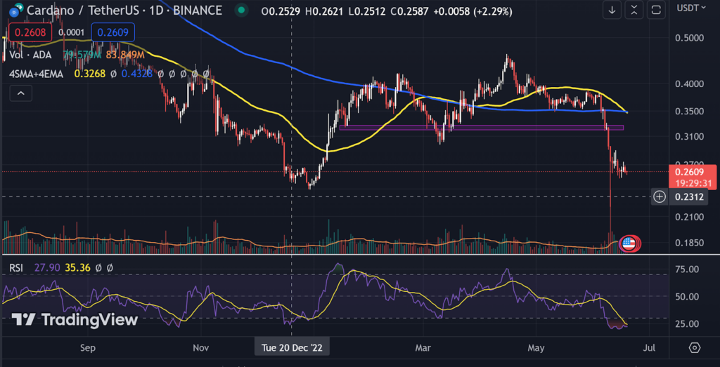 Technical analysis of the ADA course